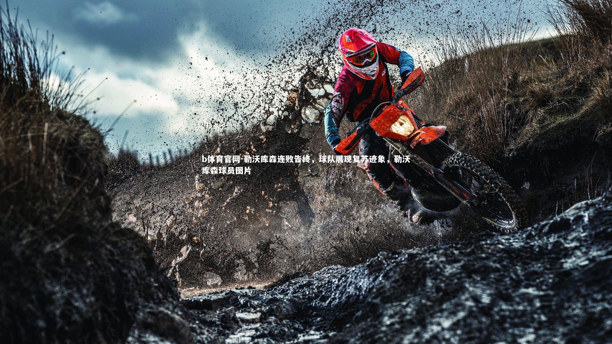 勒沃库森连败告终,球队展现复苏迹象,勒沃库森球员图片