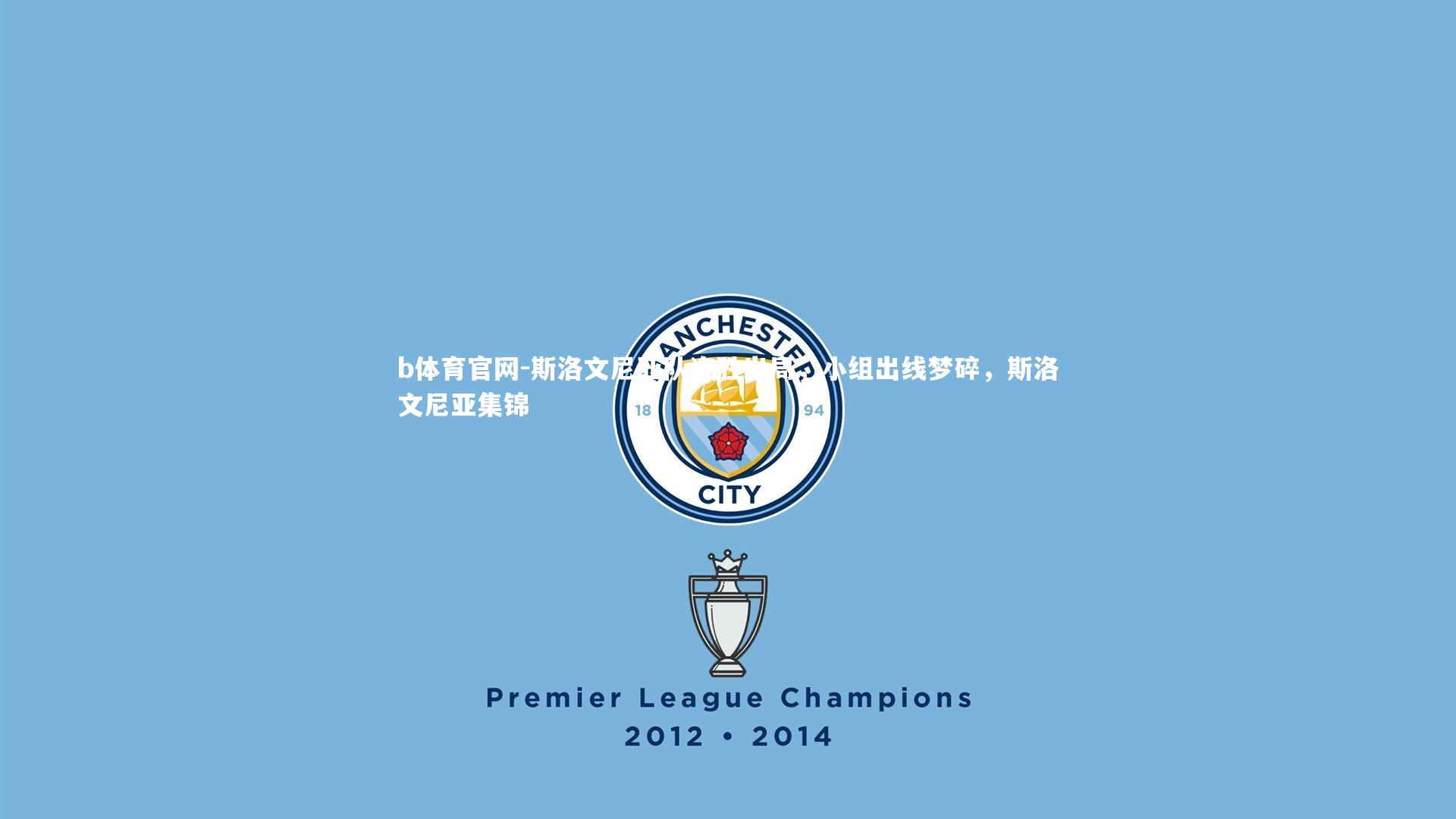 斯洛文尼亚队连胜出局,小组出线梦碎,斯洛文尼亚集锦